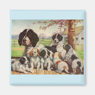 Imán espaniel espaniel madre y cachorros