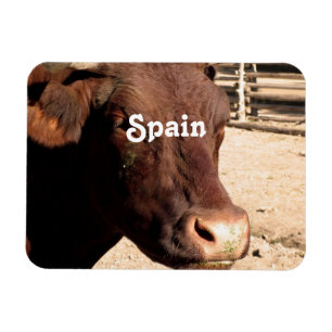 Imán Español Bull