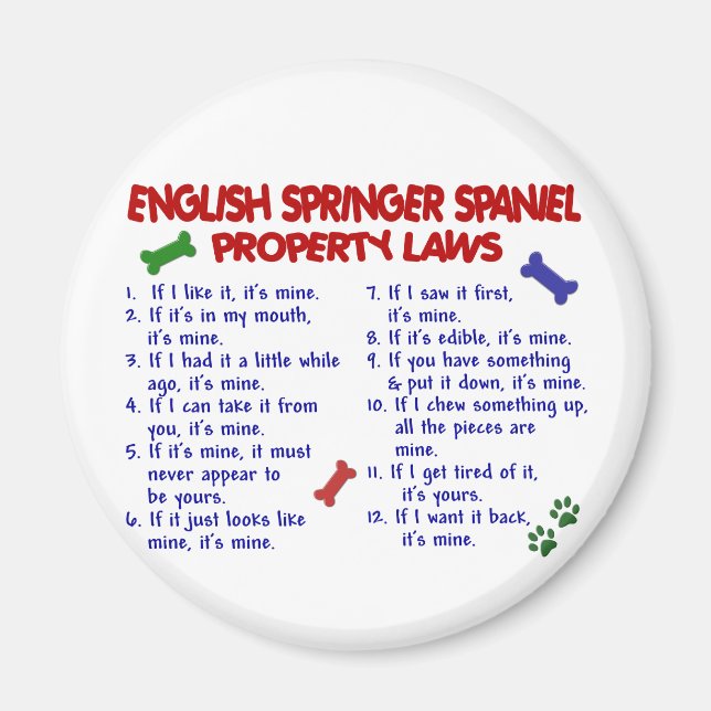 Imán ESPAÑOL - PRINCIPIO INGLÉS - Leyes de propiedad 2 (Frente)