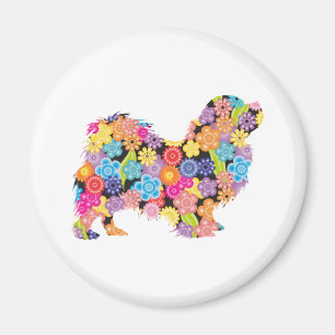 Imán Español tibetano