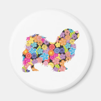 Imán Español tibetano