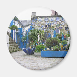 Imán especial de la placa azul