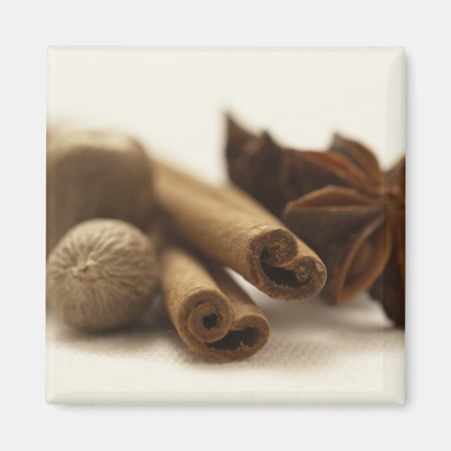 Imán Especias de vacaciones (Frente)