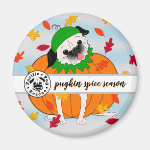 Imán Especias Pugkin: Refrigerador de caída