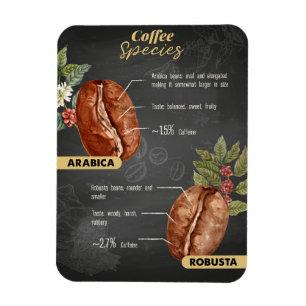 Imán Especies de café de café de Lover