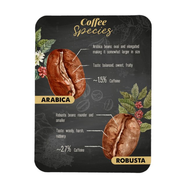 Imán Especies de café de café de Lover (Vertical)