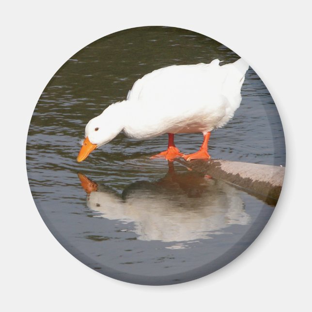 Imán Espejo (Frente)