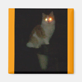 Imán espeluznante gatito