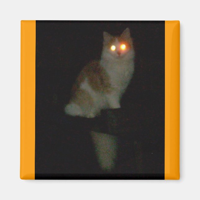 Imán espeluznante gatito (Frente)