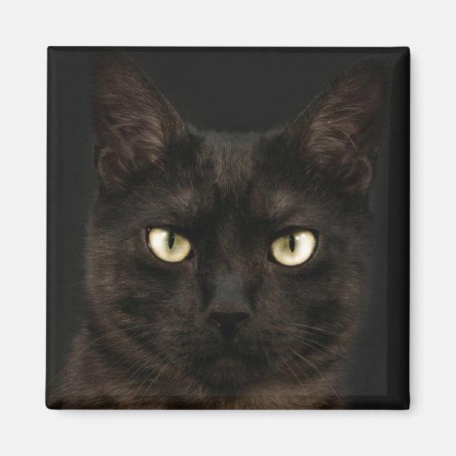Imán Espeluznante gato negro (Frente)