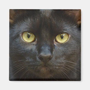 Imán Espeluznante gato negro