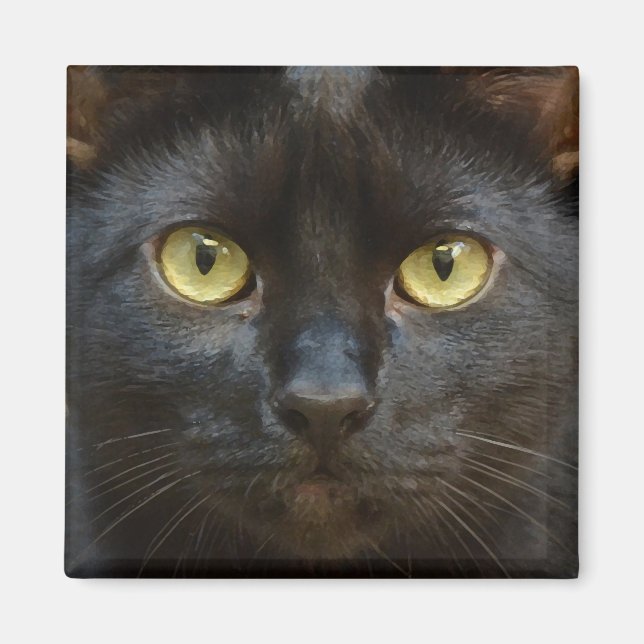 Imán Espeluznante gato negro (Frente)