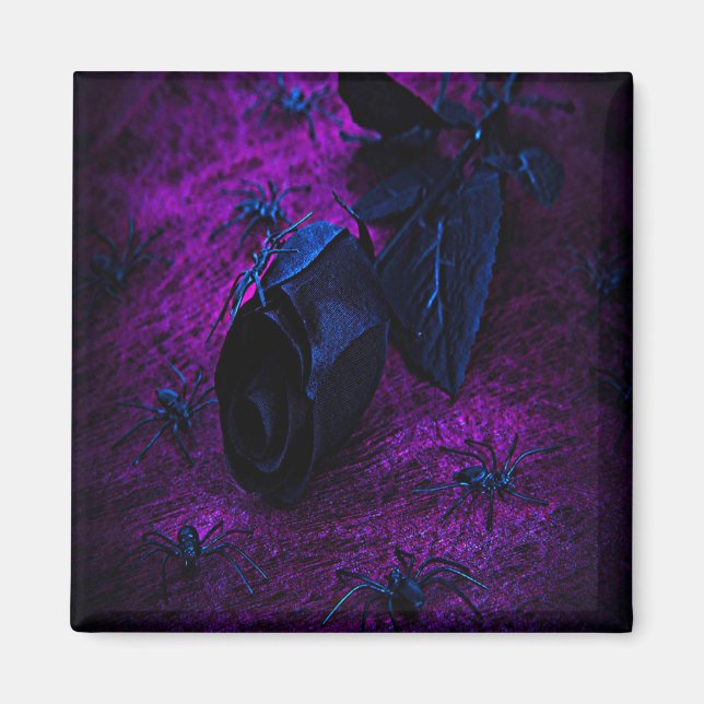 Imán Espeluznante Rosa de material negro, arañas negras (Frente)