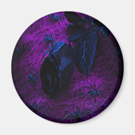 Imán Espeluznante Rosa de material negro, arañas negras