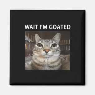Imán Espera, Meme De Gato Silly Goly