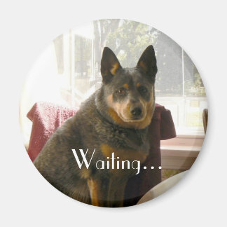Imán Esperando...