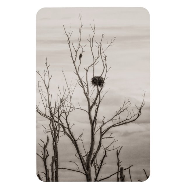 Imán Esperando por la vida (Vertical)