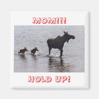 Imán ¡¡¡Esperen!!! Mentagotas de Moose Frig