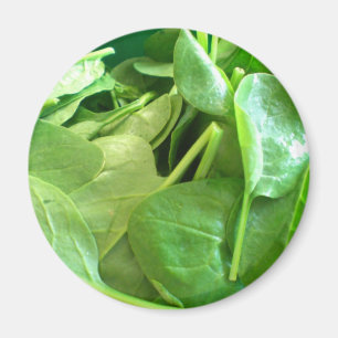 Imán Espinaca