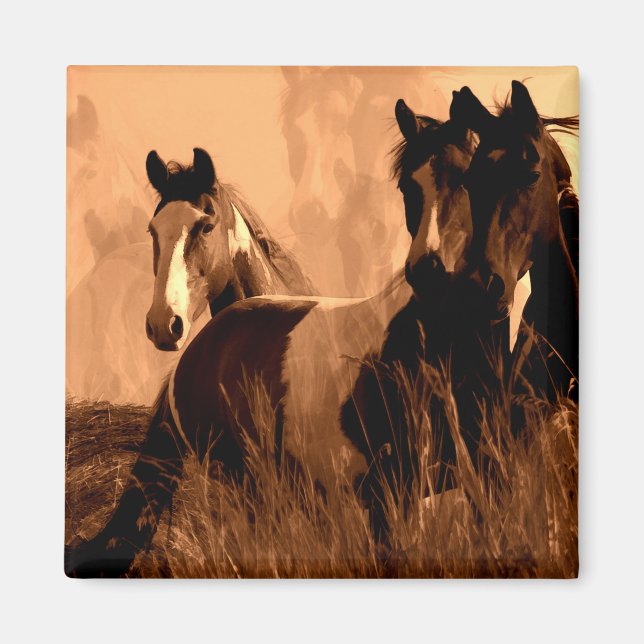 Imán Espíritu de caballo (Frente)