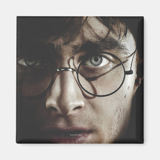 Imán Espíritus mortales - Harry Potter