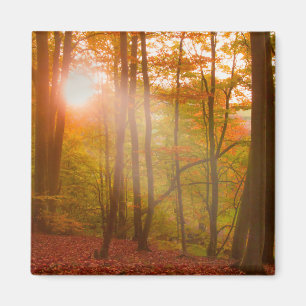 Imán Esplendor del otoño