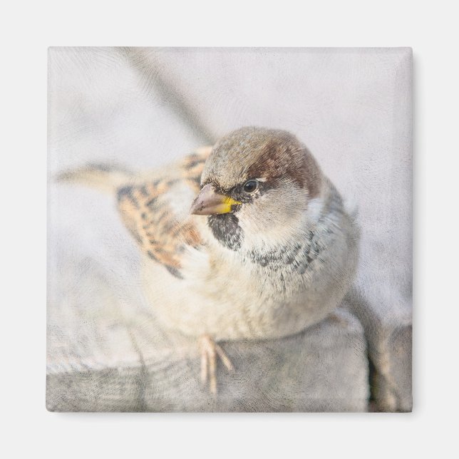 Imán Espuma - Después del Transatlántico (Frente)