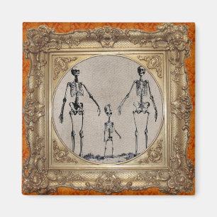 Imán esquelético de la familia