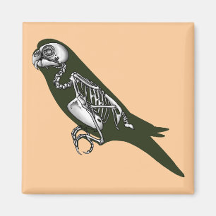 Imán Esqueleto de Budgie