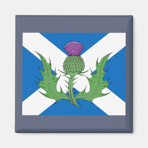 Imán Esquisto y Saltire
