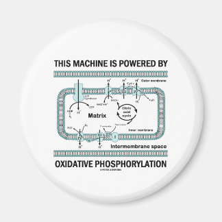 Imán Esta Máquina Alimentada Por Fosforilación Oxidativ