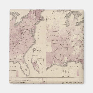 Imán Estadísticas Vitales, Censo de los Estados Unidos