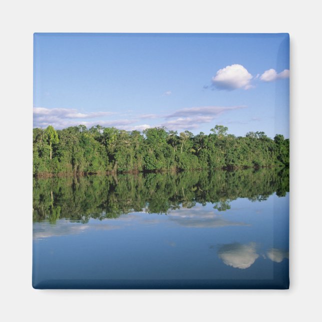 Imán Estado de Mato Grosso, Amazonia, Brasil. Boscoso (Frente)