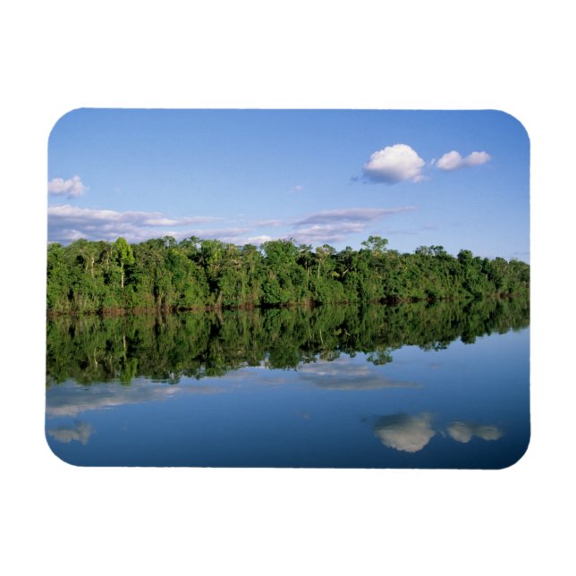 Imán Estado de Mato Grosso, Amazonia, Brasil. Boscoso (Horizontal)