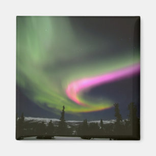 Imán Estados Unidos, Alaska, aguas termales de Chena. A