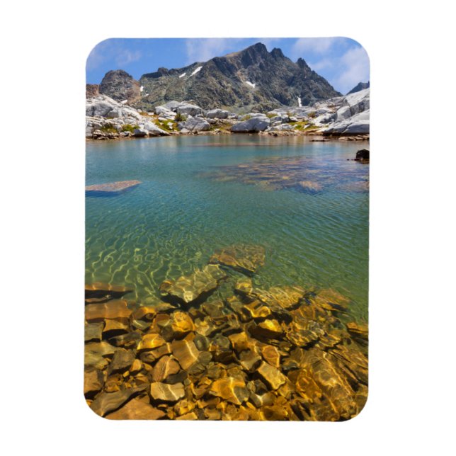 Imán Estados Unidos, California, Bosque Nacional Inyo 8 (Vertical)