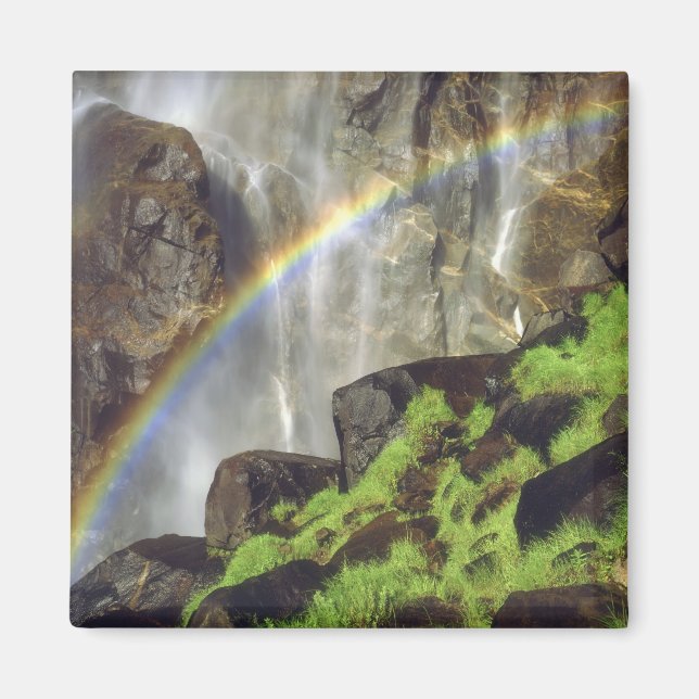 Imán Estados Unidos, California, Parque Nacional Yosemi (Frente)