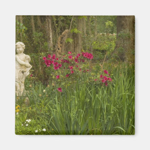 Imán Estados Unidos; Carolina del Sur; Charleston; 4