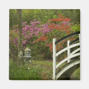 Imán Estados Unidos; Carolina del Sur; Charleston; 5