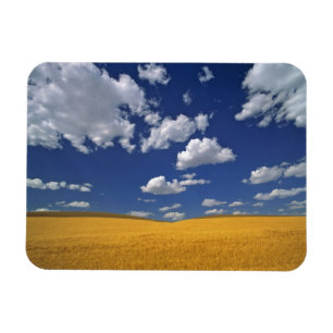 Imán Estados Unidos, Estado de Washington, Colfax. Coli