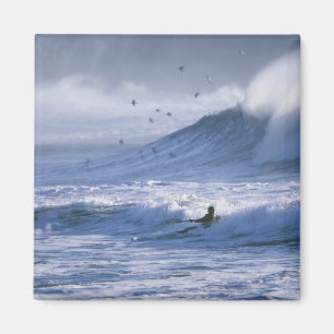 Imán Estados Unidos, estado de Washington, La Push. Hom