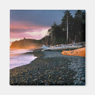 Imán Estados Unidos, Estado de Washington, NP olímpico