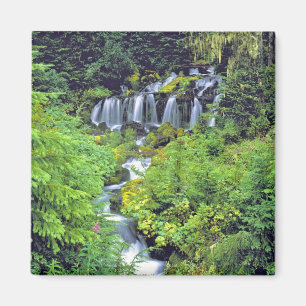 Imán Estados Unidos, Estado de Washington, Wilderness d