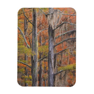 Imán Estados Unidos, Georgia, Parque Estatal George Smi