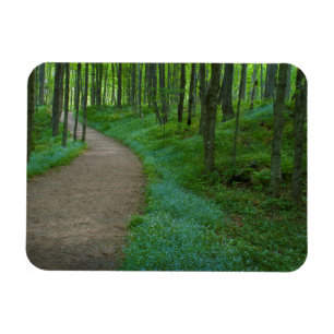 Imán Estados Unidos, Michigan. Trail de las cataratas d