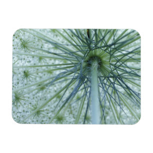 Imán Estados Unidos, Michigan. Vista desde el palacio d