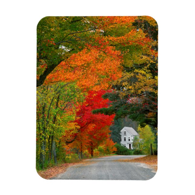Imán Estados Unidos, Nueva Inglaterra, New Hampshire, A (Vertical)
