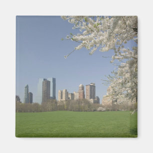 Imán Estados Unidos, Nueva York, Nueva York, Manhattan: