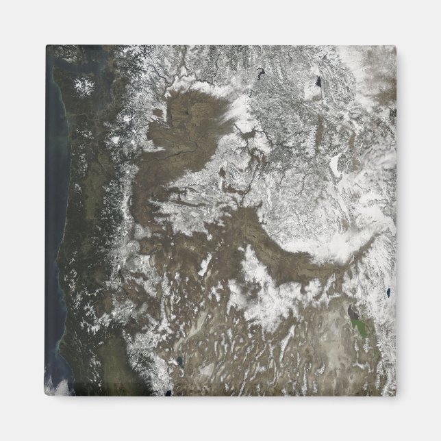 Imán Estados Unidos Occidental (Frente)