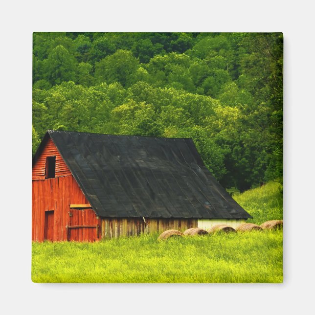 Imán Estados Unidos, Virginia, Parque Nacional Shenando (Frente)
